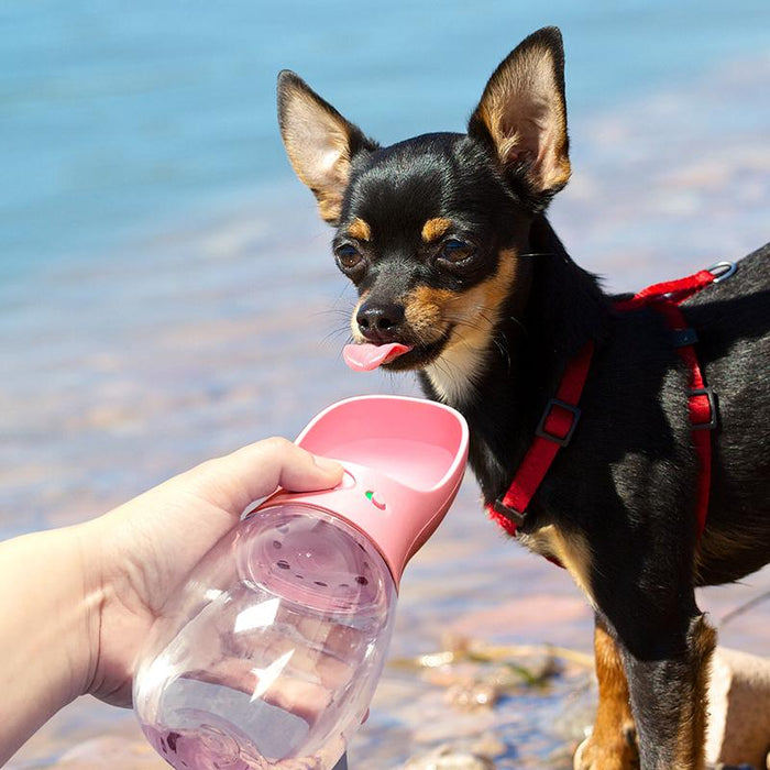 Dog Water Bottle