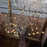 LED Twig Branch Lights (20 LEDs)