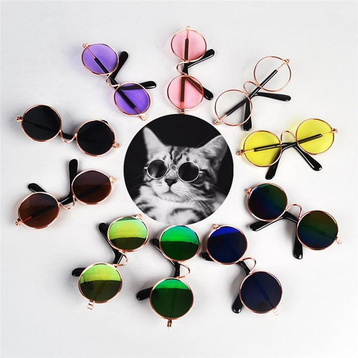 Ultra-Cute Pet Sunglasses