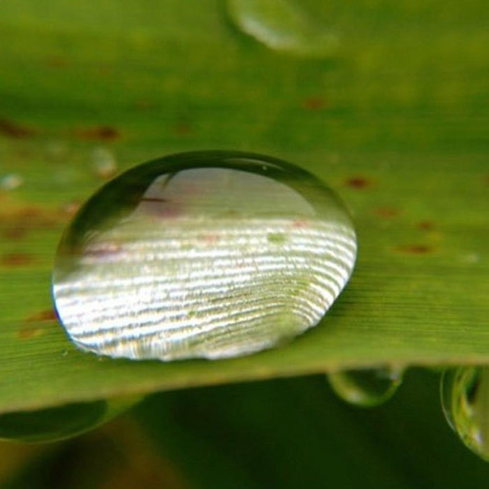 Wide Angle (3-in-1) Macro Fisheye Lens